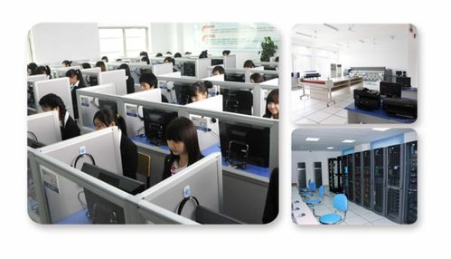 计算机软硬件视角下的学科分野 计算机科学与技术、软件工程、网络工程