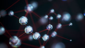 量子计算突破瓶颈与加速机器学习 电子科技领域的双重挑战与机遇